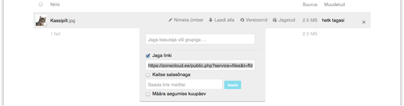 ZoneCloudis faili avalik URL-iga jagamine. 