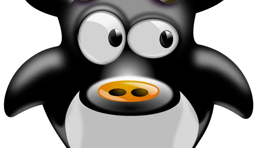 cow-147576_1280