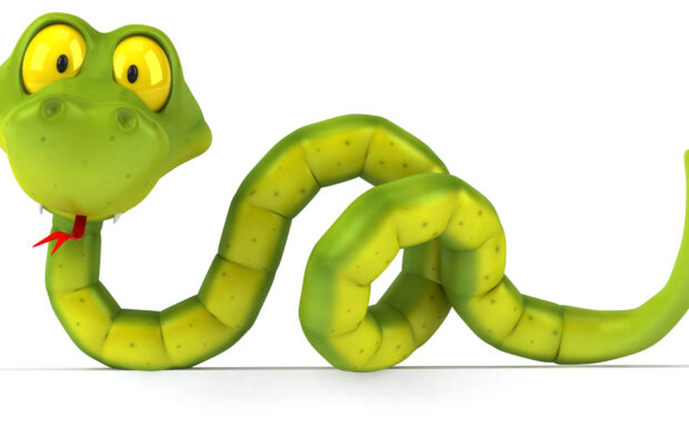 Silly Python