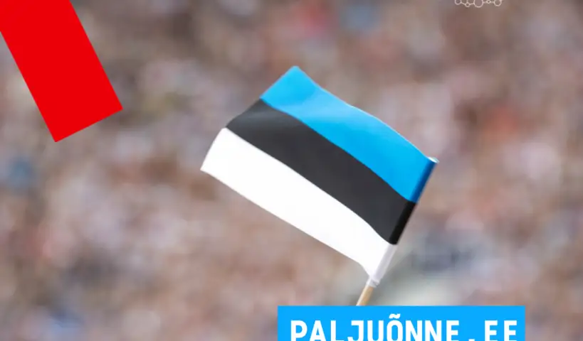 Eriline-.EE-kodumaise-domeeni-lugu-ehk-30-aastat-ilu-ja-valu