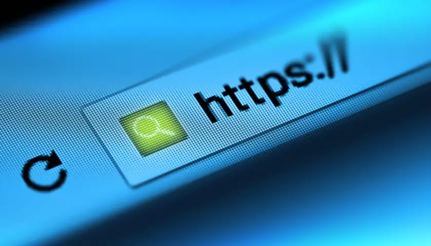 Search Engine Security