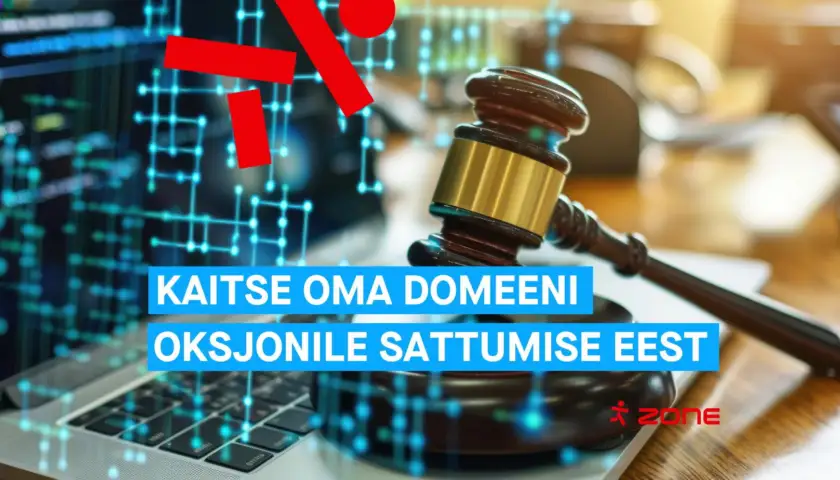 Peidetud riskid: kuidas on võimalik oma .EE domeeni oksjonil kaotada
