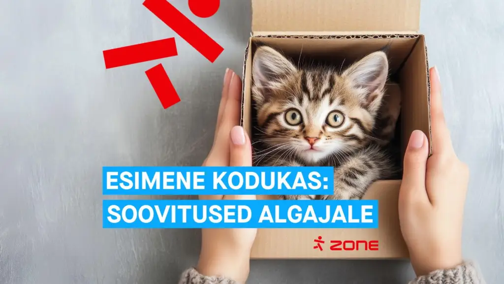Veebimajutus algajatele: Zone teenustega saad kodulehe valmis kiiresti ja turvaliselt