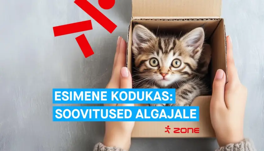 Veebimajutus algajatele: Zone teenustega saad kodulehe valmis kiiresti ja turvaliselt