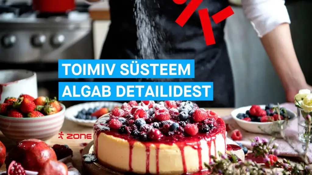 Partner soovitab: Kuidas targalt integreerida ja hallata infosüsteeme