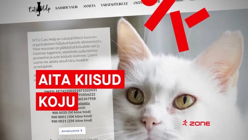 Zone ja CatsHelp koostöös: aitame üheskoos kassidel kodu leida