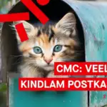 Common Mark Certificate: Rohkem võimalusi e-posti nähtavuse ja turvalisuse tõstmiseks