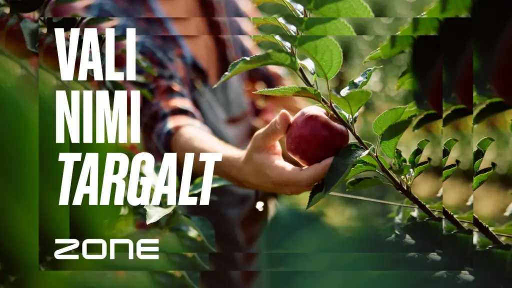 Ettevõtte nime valimine: kuidas teha tark otsus ja vältida hilisemaid probleeme