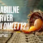 Mitu veebilehte ühes serveris? Plussid, miinused ja riskid