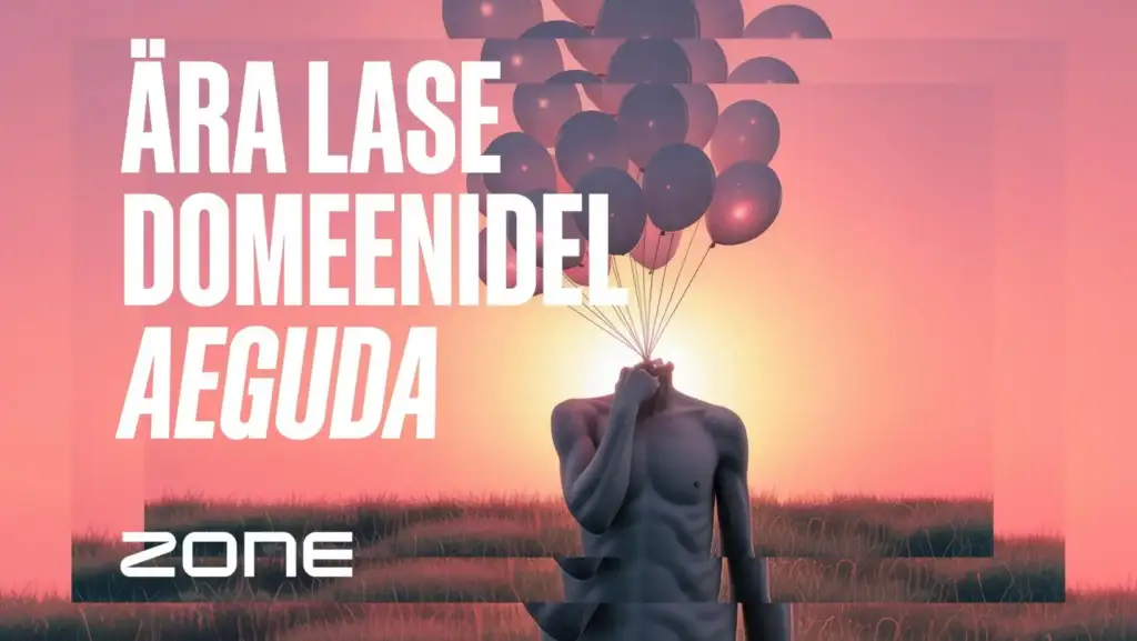 Drop catching ehk miks on domeeni aegumine tõsine probleem
