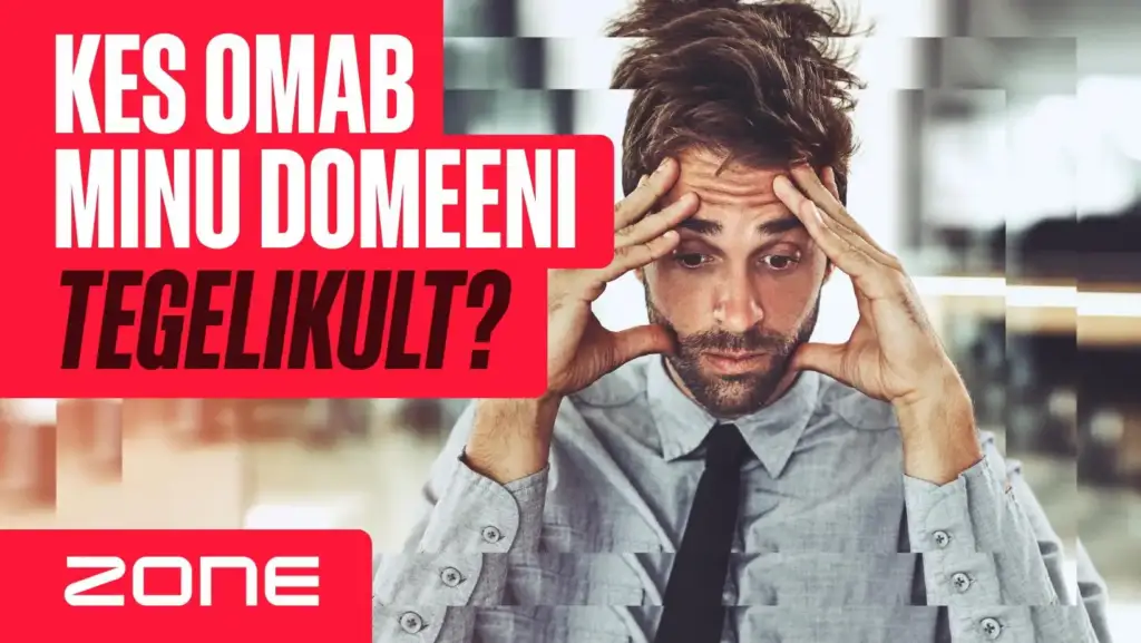 Kelle nimel on sinu domeen tegelikult registreeritud?