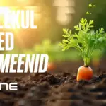 Uus gTLD-de taotlusvoor: domeenimaailm on muutunud
